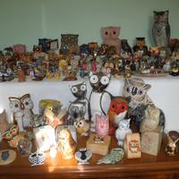 GRANDE COLLEZIONE DI GUFI