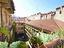 Immagine 15