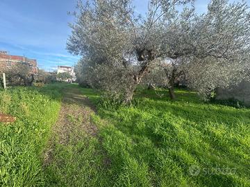 Terreno Residenziale Pace del Mela [TAF004VRG]