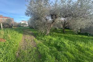 Terreno Residenziale Pace del Mela [TAF004VRG]