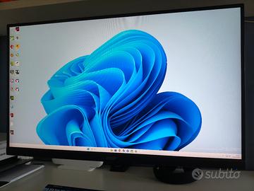 Monitor gaming 