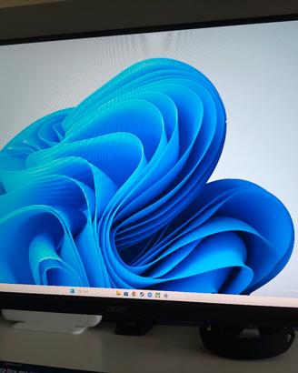 Monitor gaming 
