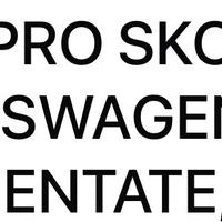 Skoda e wolkswagen incidentate