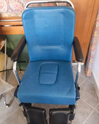 sedia a rotelle 