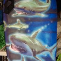 Bodyboard, surf bambini. 