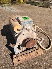 Motore Elettrico 220v