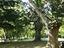 Immagine 23