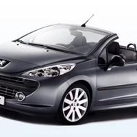 Ricambi Peugeot 207 cc (cabrio)