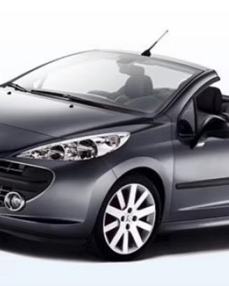 Ricambi Peugeot 207 cc (cabrio)