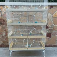 Gabbie da 120 verniciate bianche a polvere