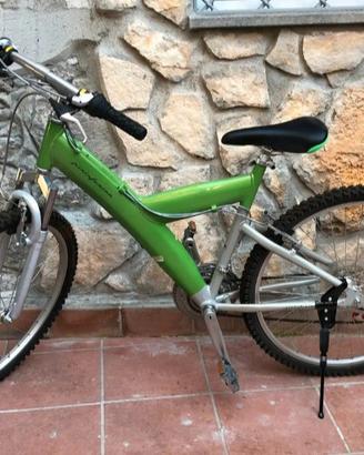bici pinifarina 