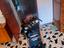 Immagine 2