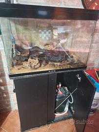 acquario completo