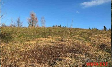Immobile in asta di 2763 m² a Gazzola