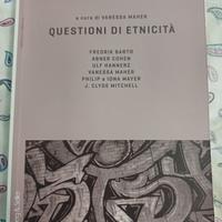 Questioni di etnicità 