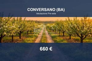 Immobile in asta di 864 m² a Conversano