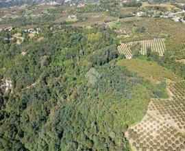 TER. AGRICOLO A CERRETTO LANGHE