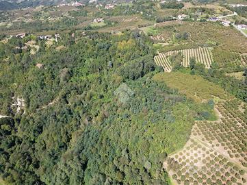 TER. AGRICOLO A CERRETTO LANGHE