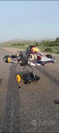 Tecnokart Iame x30