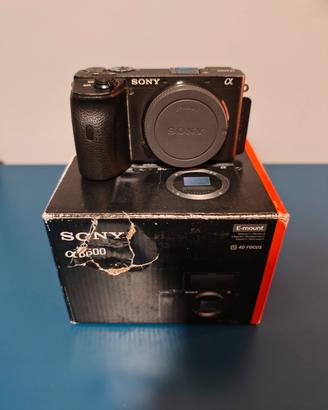 Sony a6600