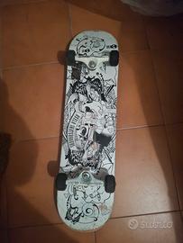 Skate  Board