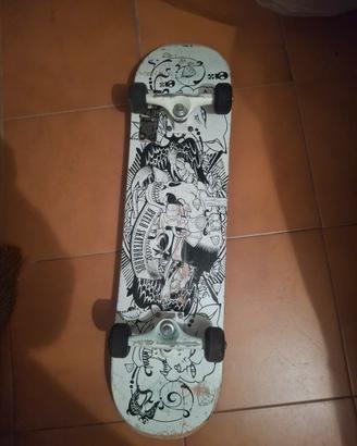 Skate  Board