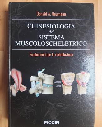 Chinesiologia sistema MS - Donald Neumann