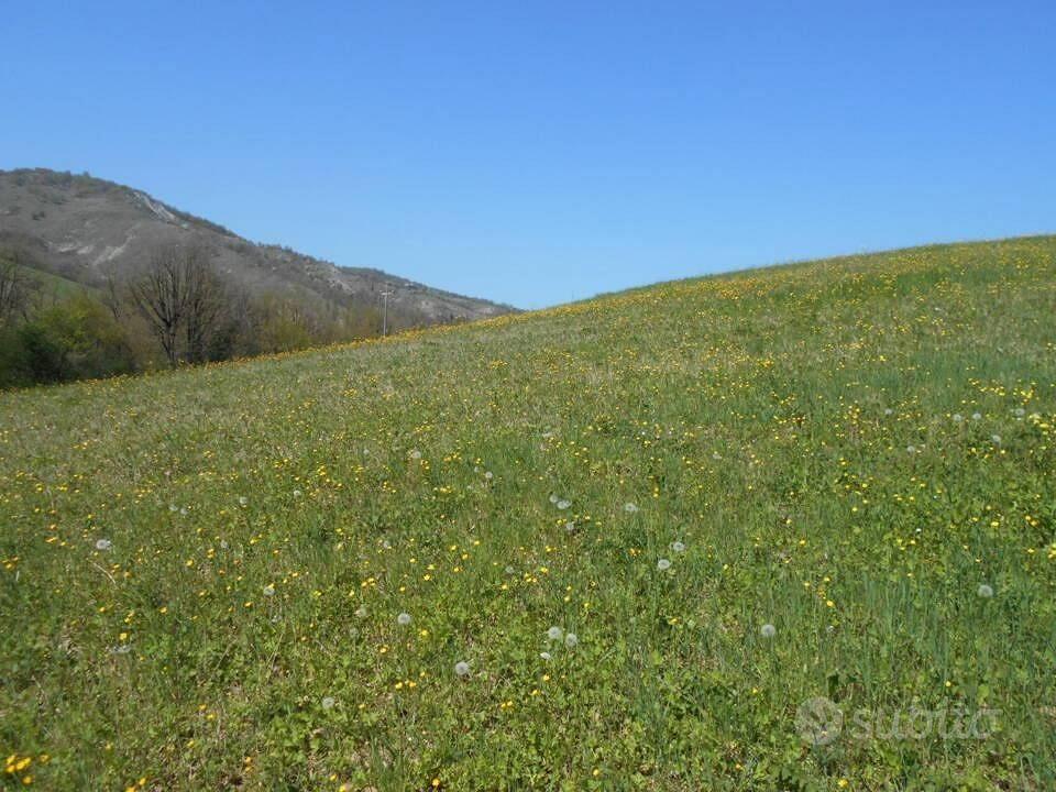 Immobile in asta di 10522 m² a Scandiano - Altro