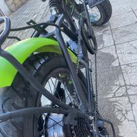 Bici elettrica
