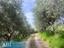 Immagine 10