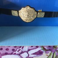 World HeavyWeight Wrestling Champion