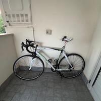 Bici da corsa Viner tg 58 carbonio, campagnolo