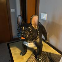 Cane bulldog  francese