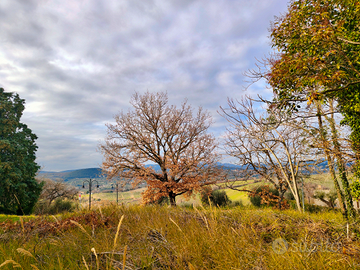 Terreno edificabile di 1.000 mq