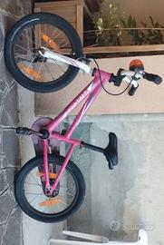 bicicletta bambini