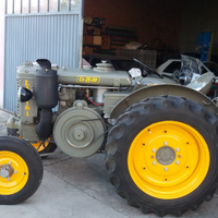 Landini 25
