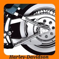COPRI PERNO HARLEY DAVIDSON SOFTAIL