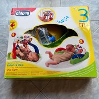 Palestrina neonato 