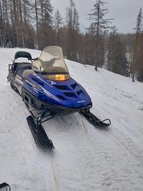 Motoslitta Polaris Wild Track 500 2 tempi