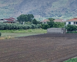 Terreno con casa