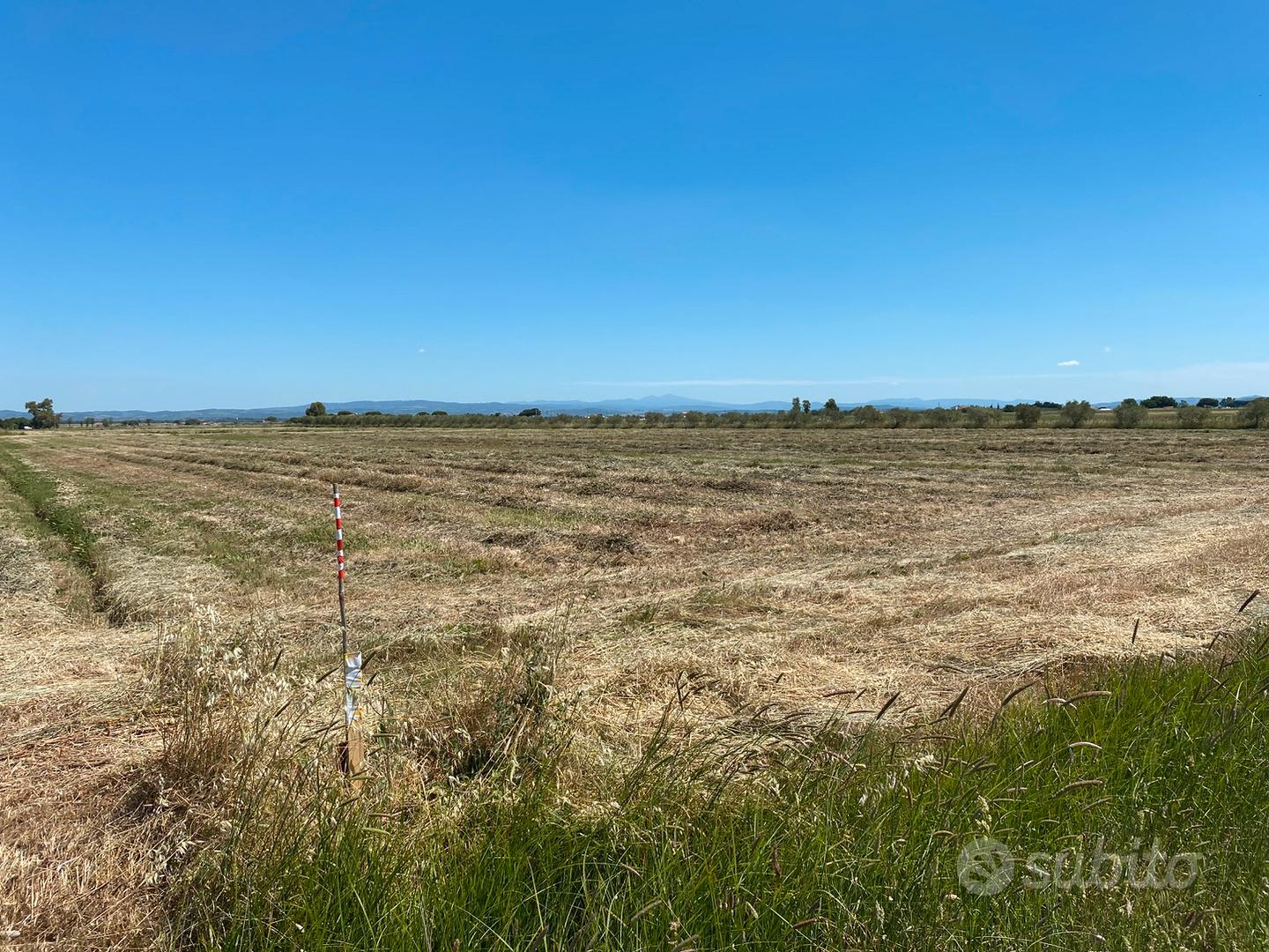 Terreno agricolo anche con ulivi vicino al mare - Vista 4