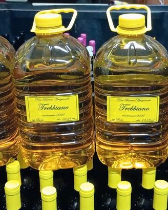 VINO CASARECCIO con consegna a domicilio