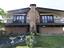 Immagine 9