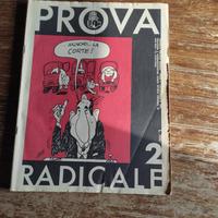 Prova Radicale, n. 2 
