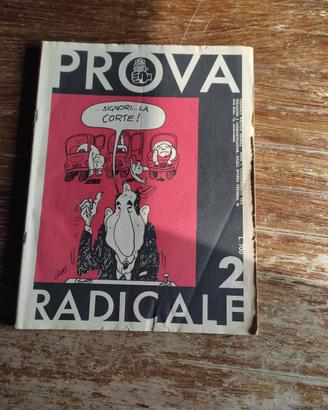 Prova Radicale, n. 2 