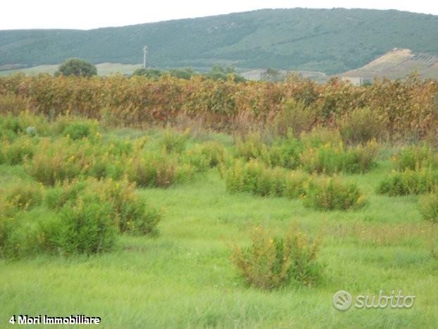 Sant'anna arresi - agricolo terreno in zona reside