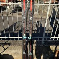 Sci Alpinismo Dynastar bear vertical