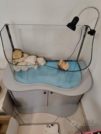 Acquario per tartarughe con mobile