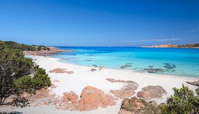 Isola rossa appartamento con giardino