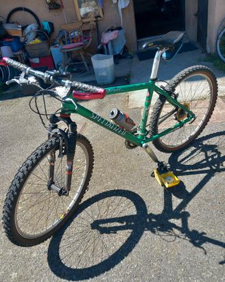 Bici Specialized